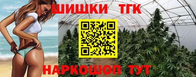 Альфа ПВП Сланцы